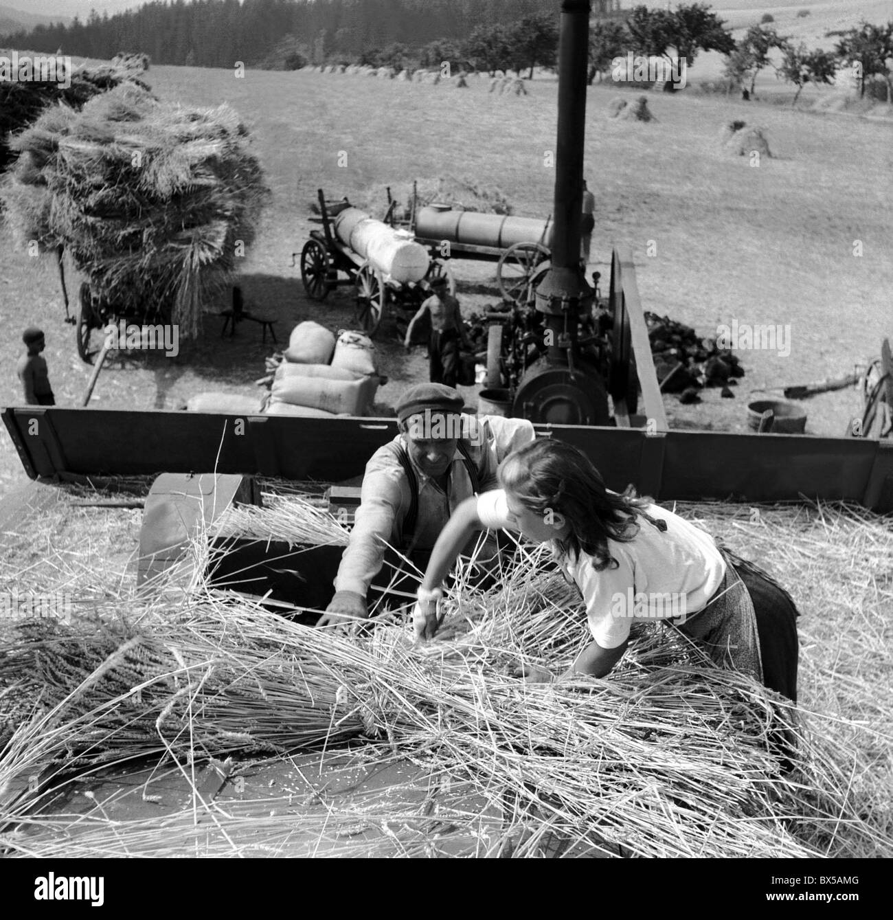 Tschechoslowakei - in der Nähe von Konstantinbad 1949.  Freiwillige verarbeiten geernteten Getreide. CTK Vintage Photo. Stockfoto