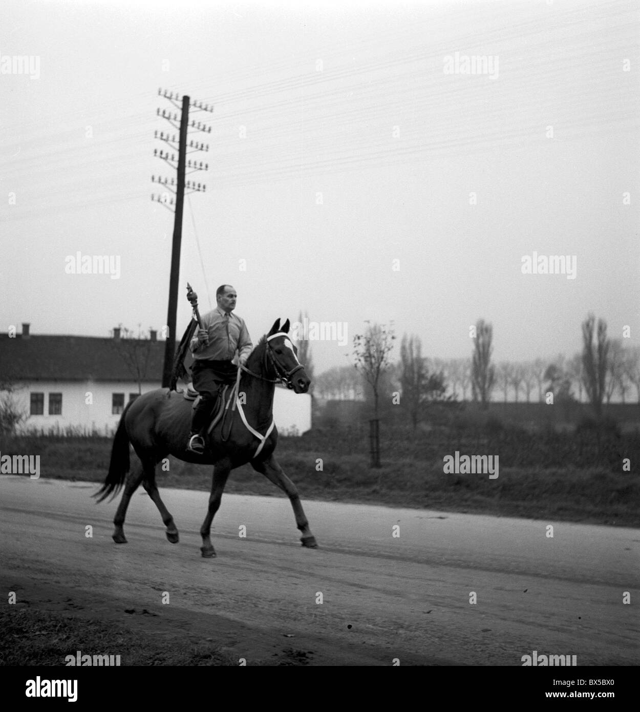 Reiterin konkurriert in Frieden-Staffel. Tschechoslowakei 1958. (CTK Foto Zdenek Havelka). Stockfoto
