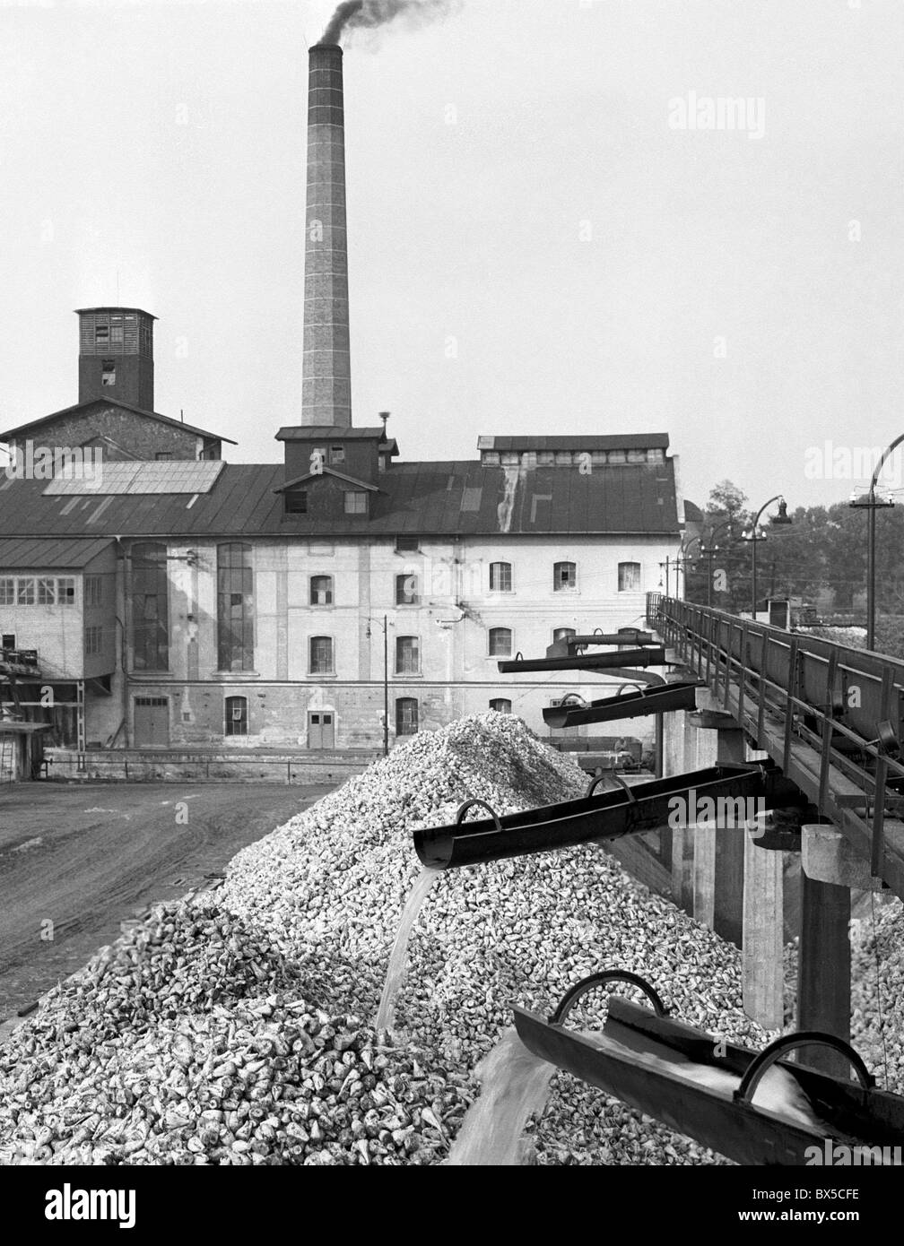 Zuckerraffinerie, United Landw. Genossenschaft Stockfoto