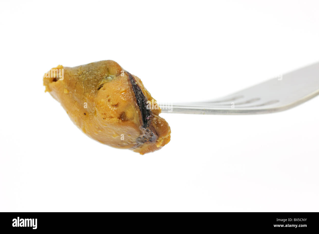 Einzelne geräucherte Muscheln auf Gabel Stockfoto