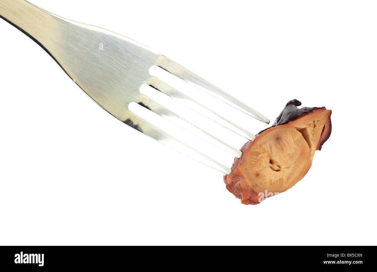 Kleine Bissen von Krake auf Gabel Stockfoto