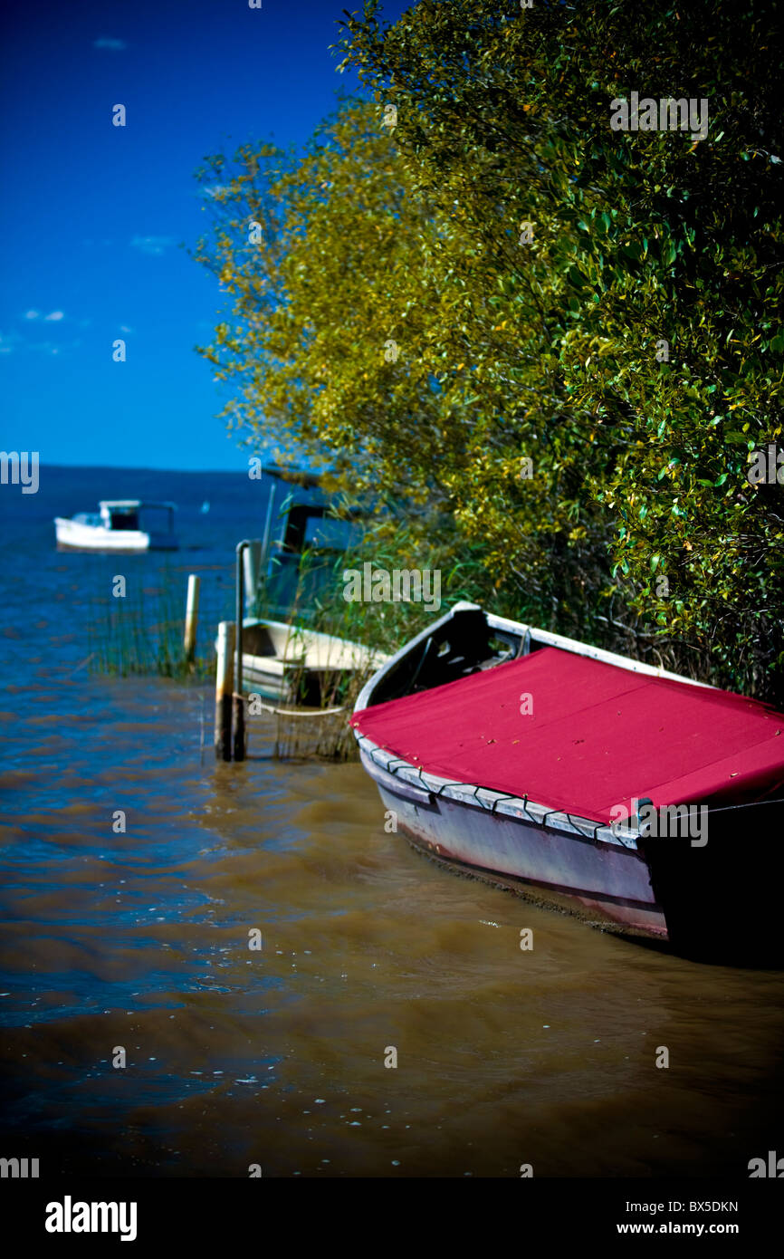 Alte Boote verankert am See Cooroibah Sunshine Coast Queensland Australien Stockfoto