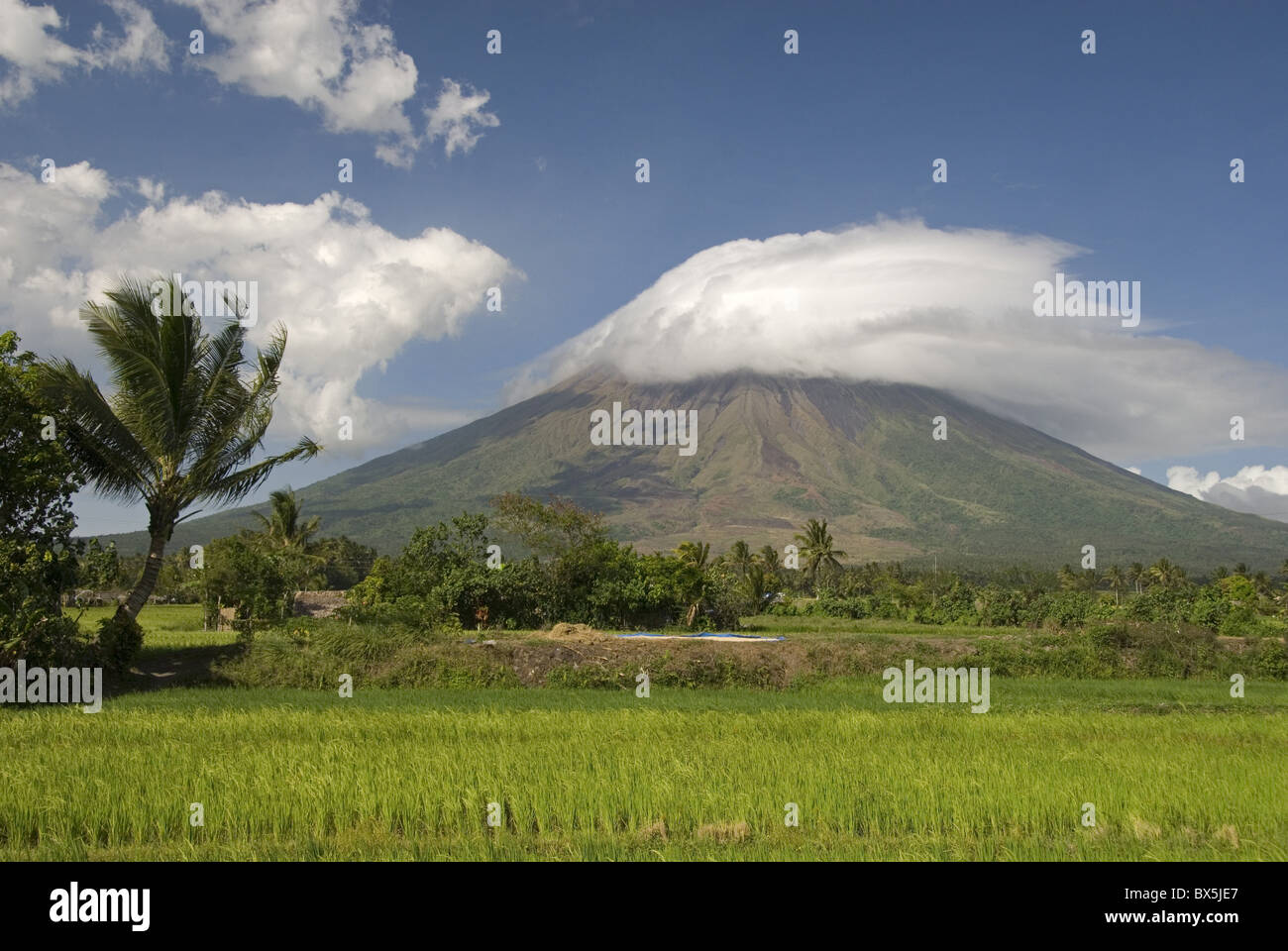 Mayon Vulkankegel, Legazpi, Bicol, Luzon, Philippinen, Südostasien, Asien Stockfoto