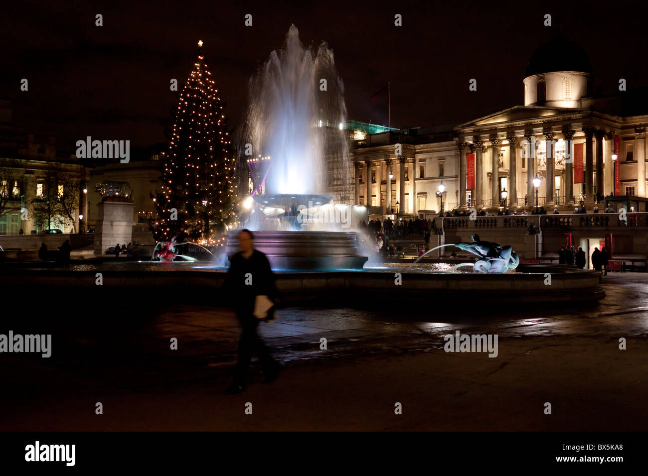 Die norwegischen Weihnachtsbaum in Trafalgar Square in London in der Nacht, Weihnachten 2010 Stockfoto