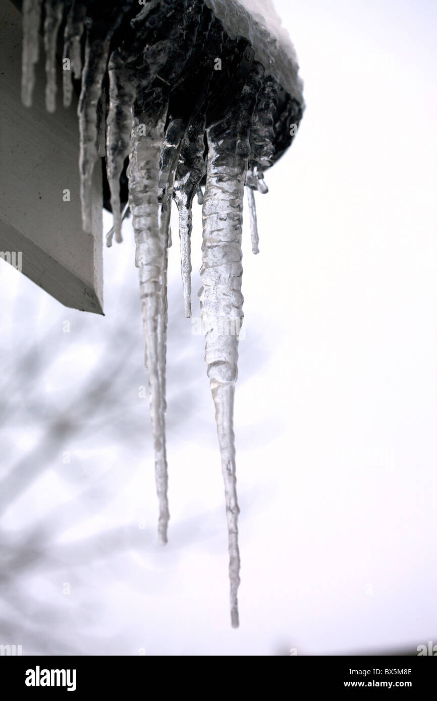 Eiszapfen hängen von Haus Dachrinnen Stockfoto