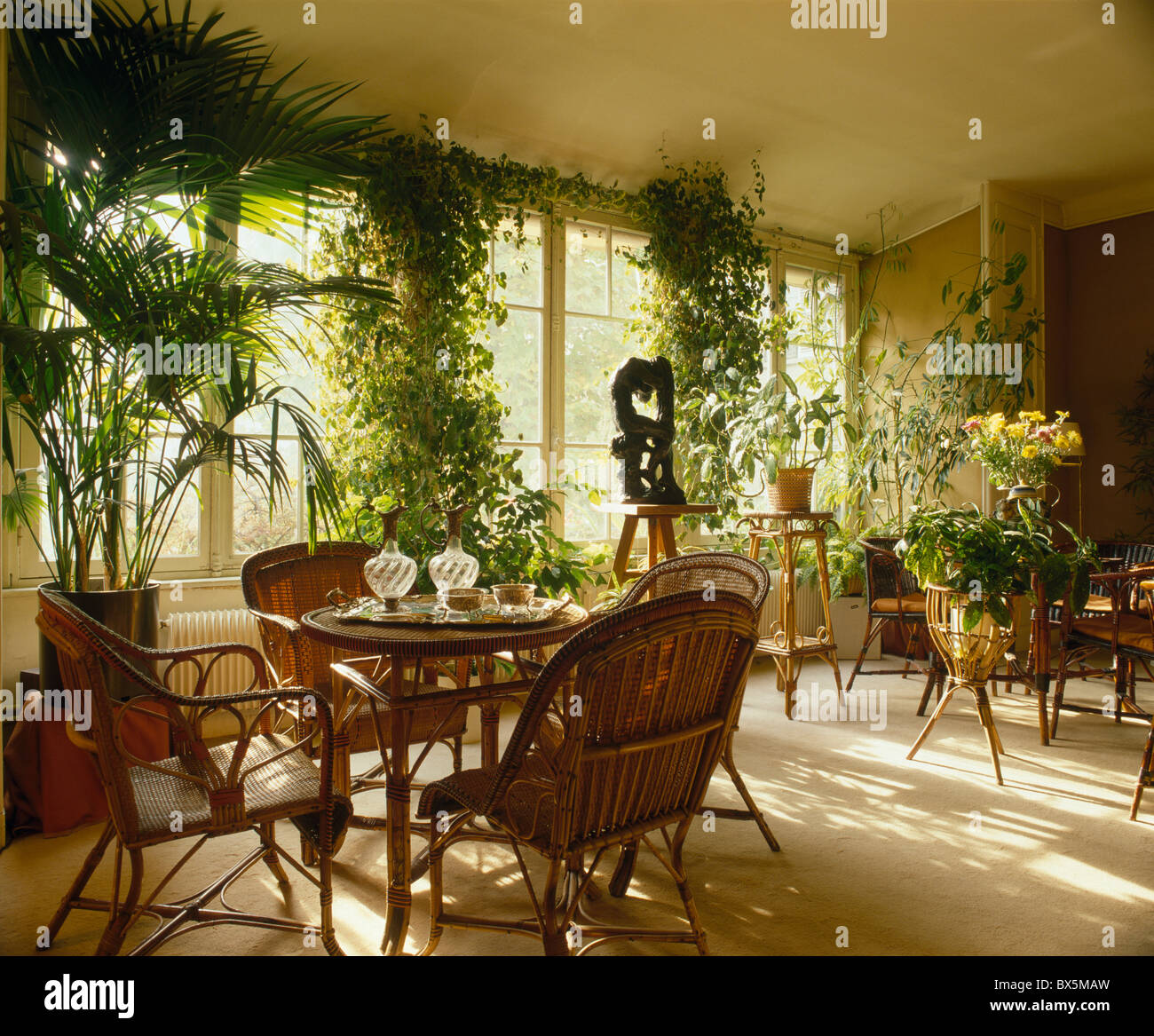 Große grüne Zimmerpflanzen und Palmen im französischen Stadthaus Esszimmer mit Rohrstühlen Stockfoto
