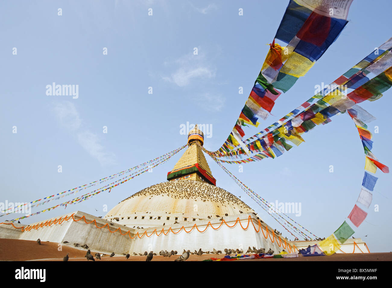 Tauben und Gebetsfahnen auf Boudha Stupa (Chorten Chempo), Boudhanath, Kathmandu, Nepal, Asien Stockfoto