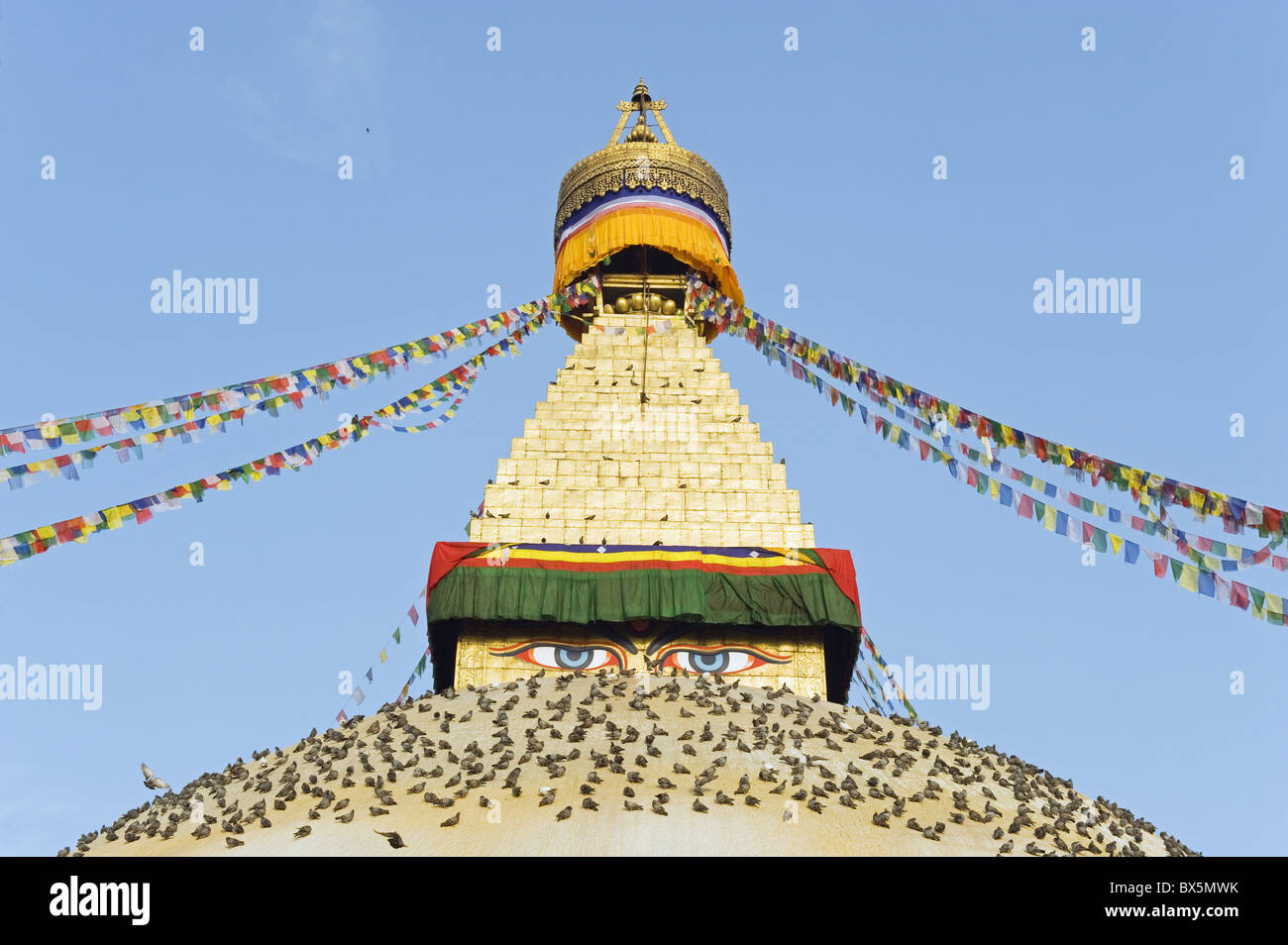 Tauben und Gebetsfahnen auf Boudha Stupa (Chorten Chempo), Boudhanath, Kathmandu, Nepal, Asien Stockfoto
