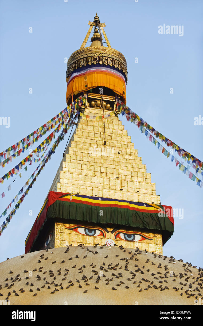 Tauben und Gebetsfahnen auf Boudha Stupa (Chorten Chempo), Boudhanath, Kathmandu, Nepal, Asien Stockfoto