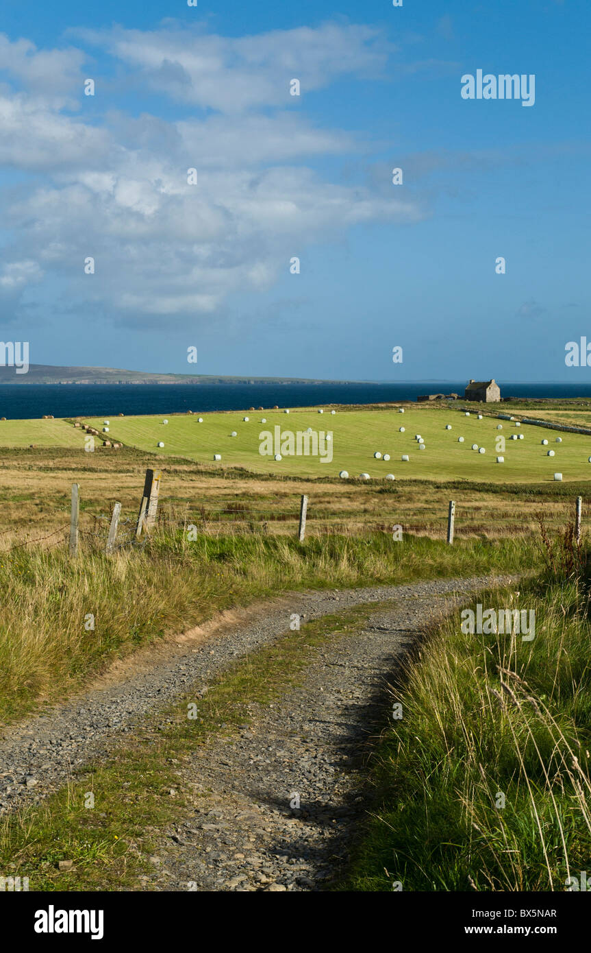 dh EGILSAY ORKNEY Land Felder und Bauernhaus entfernt großbritannien Farm scotland isoliert Landhausinsel Track Stockfoto