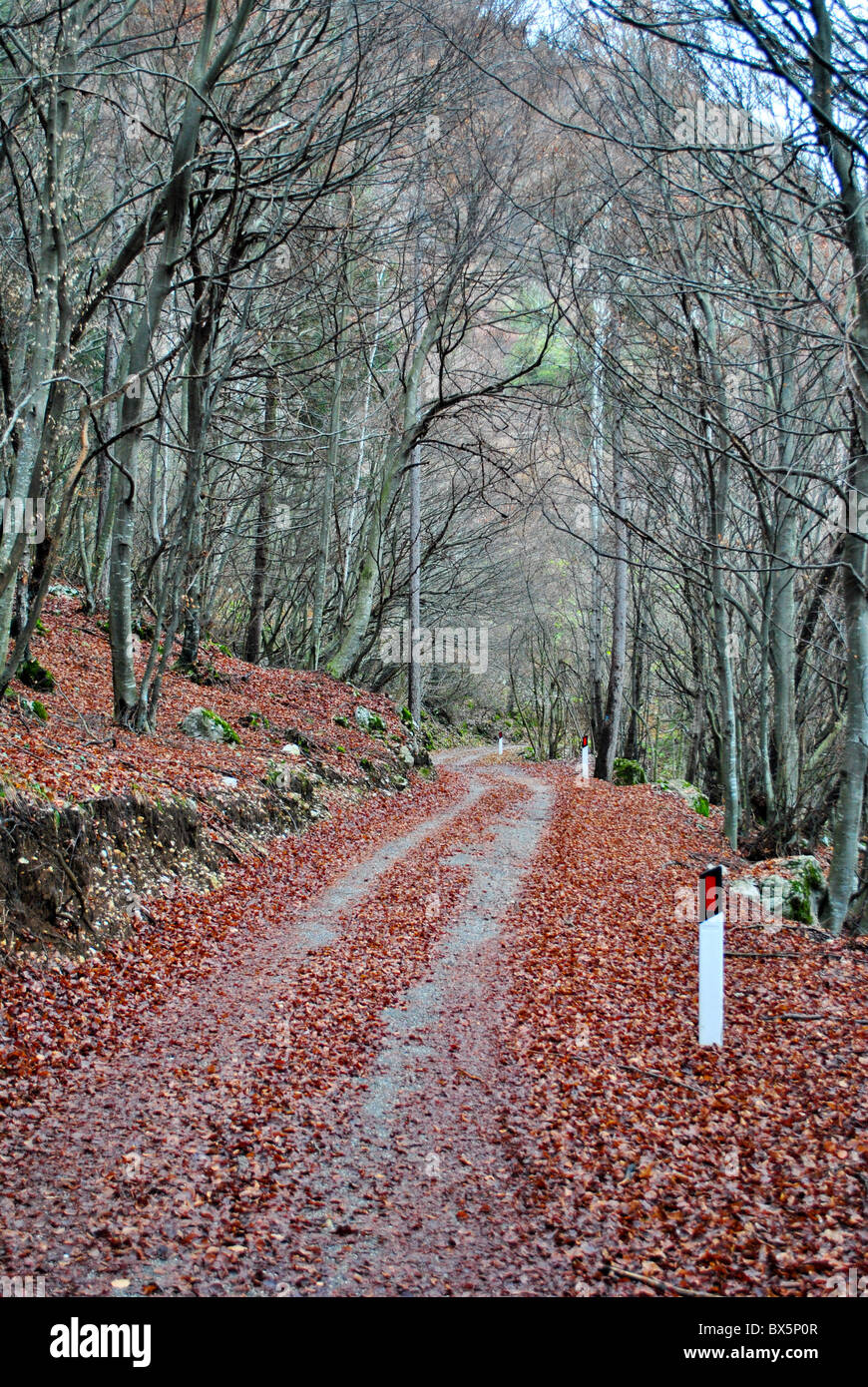 unbefestigte Straße im Herbst Berg Stockfoto