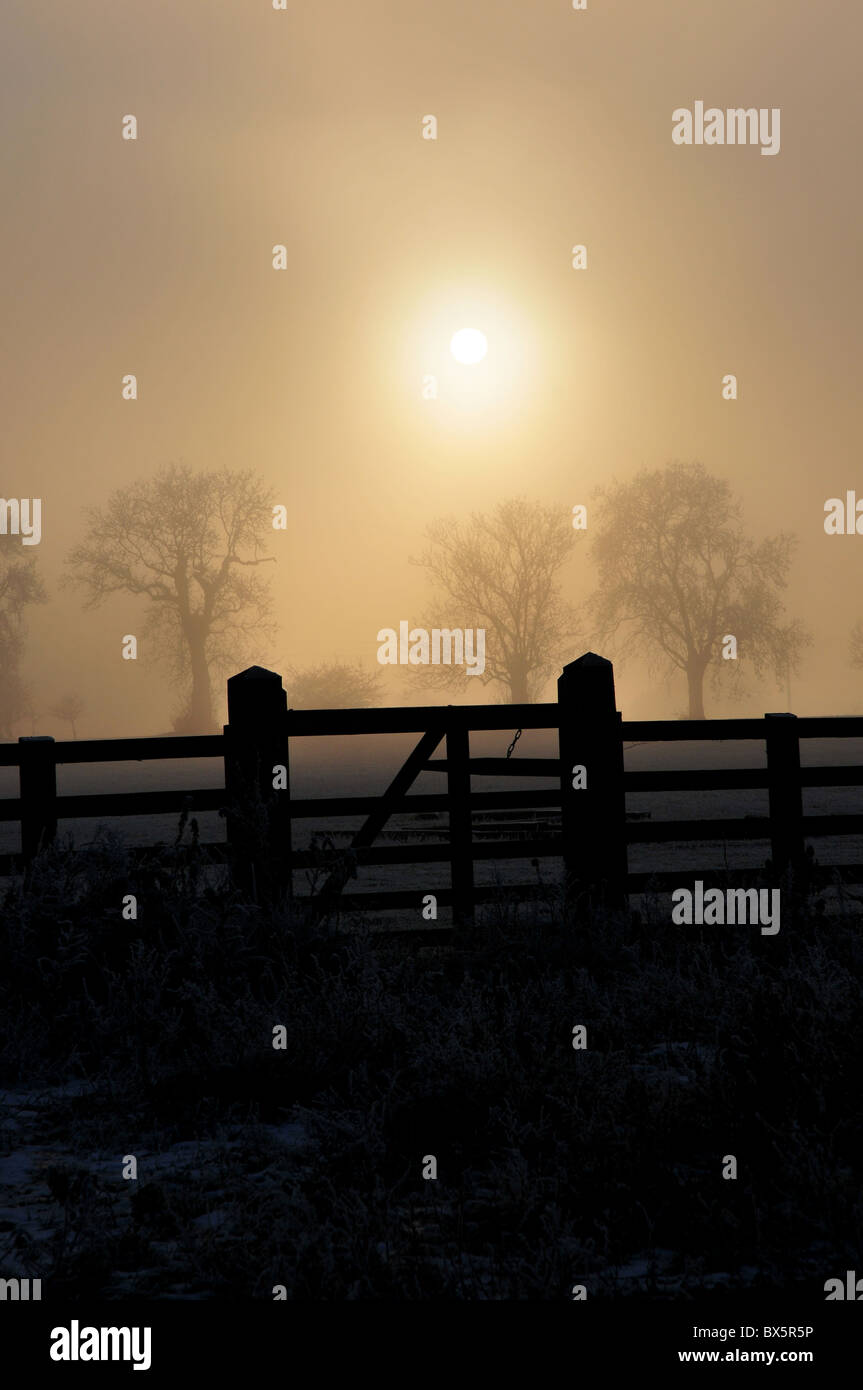 Winter-Sonne über Felder in der Nähe von Hook Norton, Oxfordshire Stockfoto