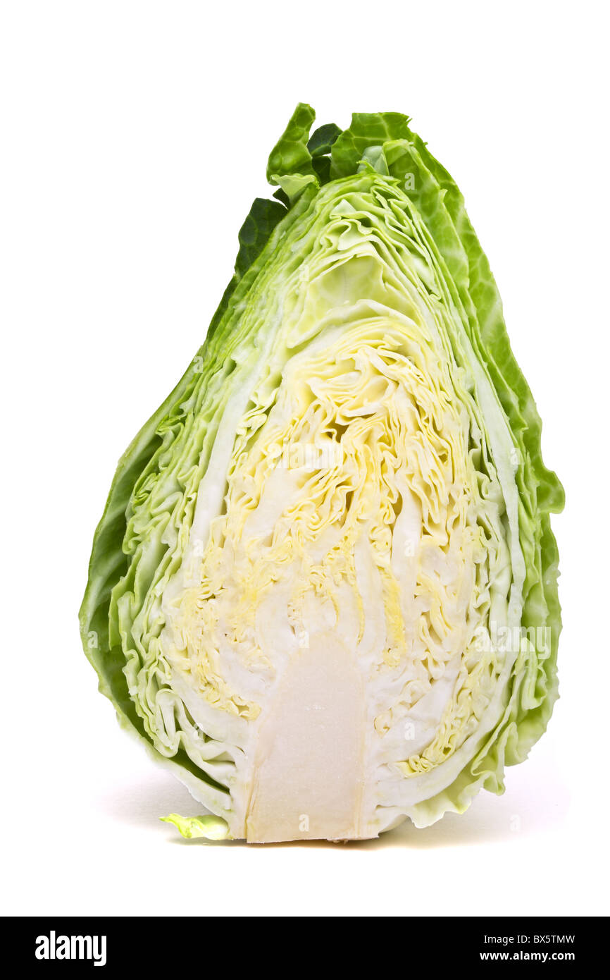 Spitzen Spitzkohl Querschnitt aus niedrigen Perspektive isoliert auf weiss. Stockfoto