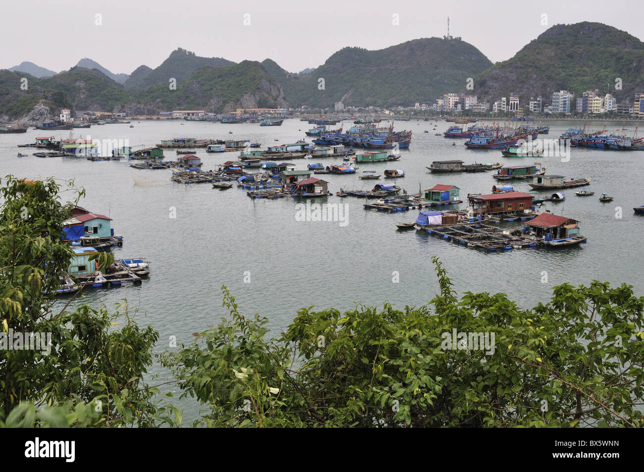 Schwimmendes Dorf in Cat Ba Hafen, Cat Ba Insel, Vietnam, Indochina, Südostasien, Asien Stockfoto