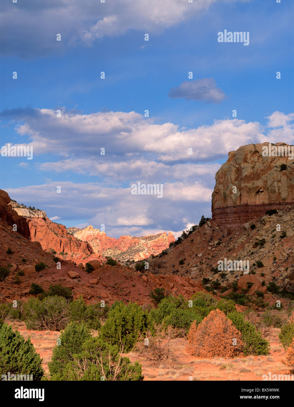 Norden von New Mexico Wüste Schlucht mit hohen Klippen rot, Orange und Creme. Stockfoto