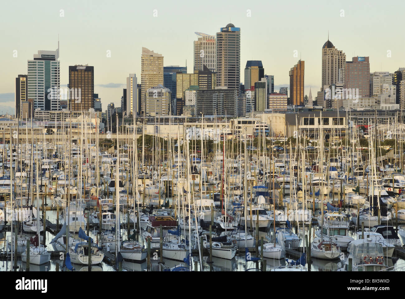 Westhaven, Waitemata Harbour, Auckland, Nordinsel, Neuseeland, Pazifik Stockfoto