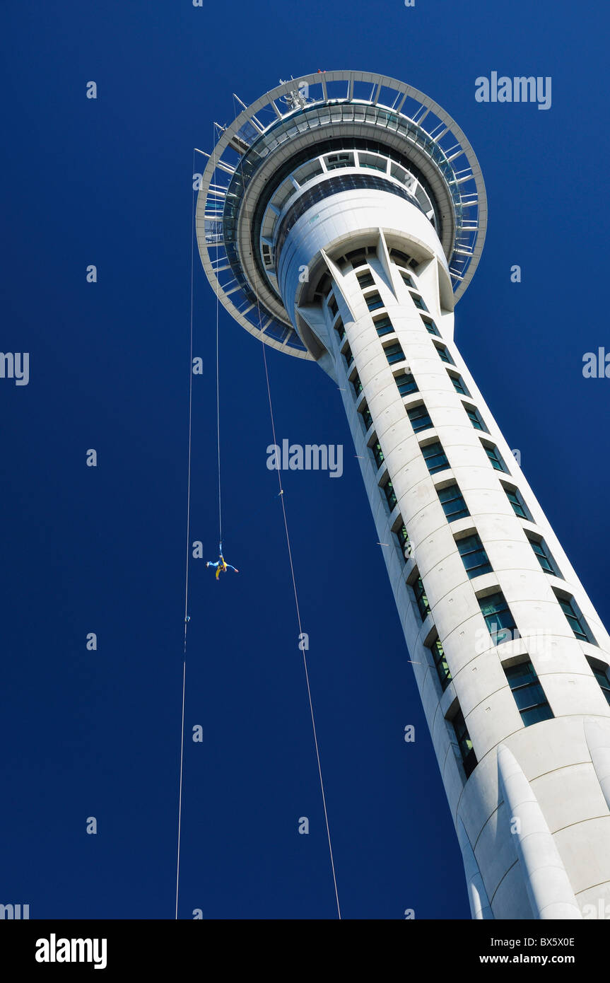 Skycity Auckland, Nordinsel, Neuseeland, Pazifik Stockfoto
