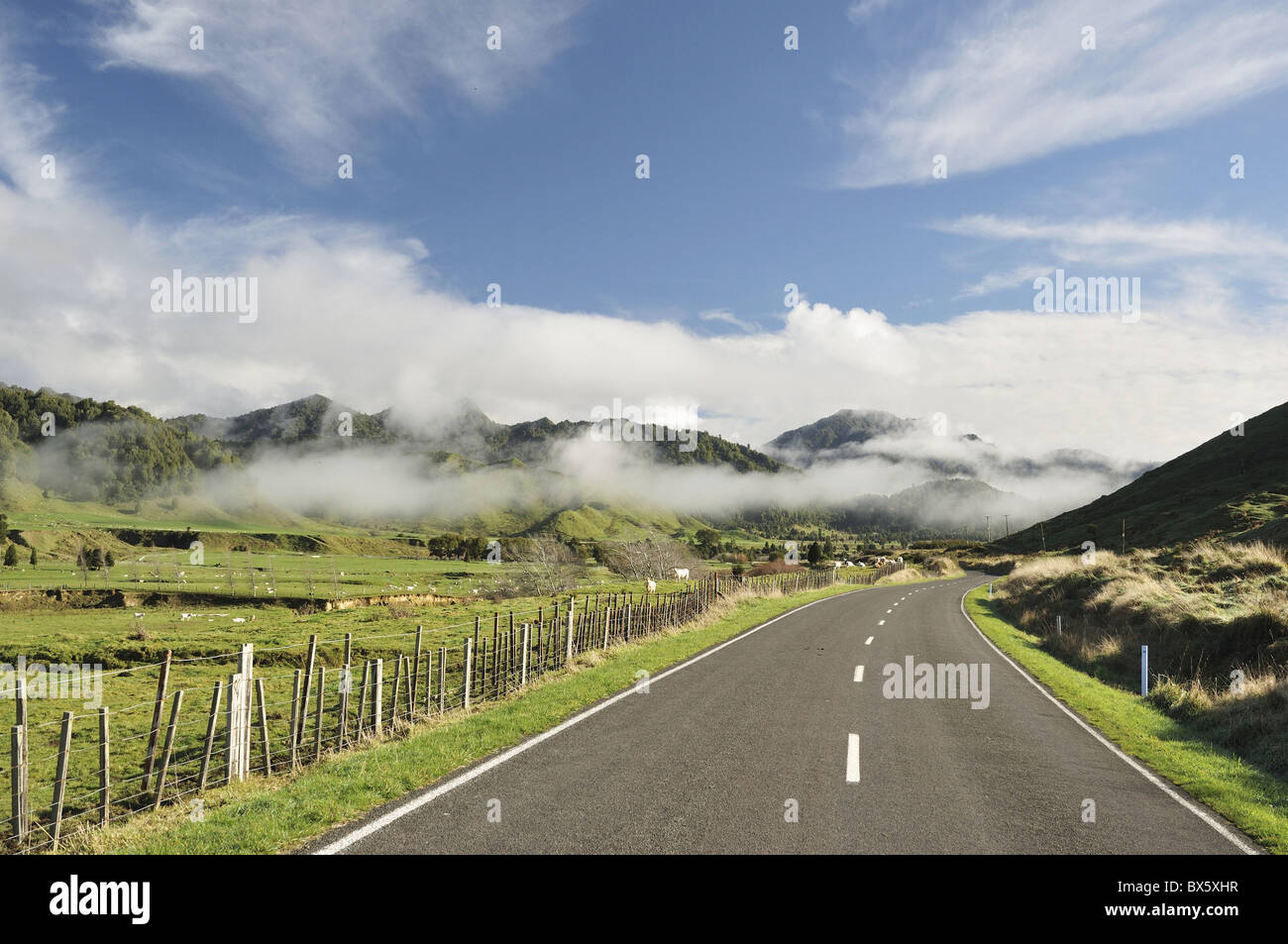 Straßen- und Ackerland in der Nähe von Matawai, Gisborne, North Island, Neuseeland, Pazifik Stockfoto
