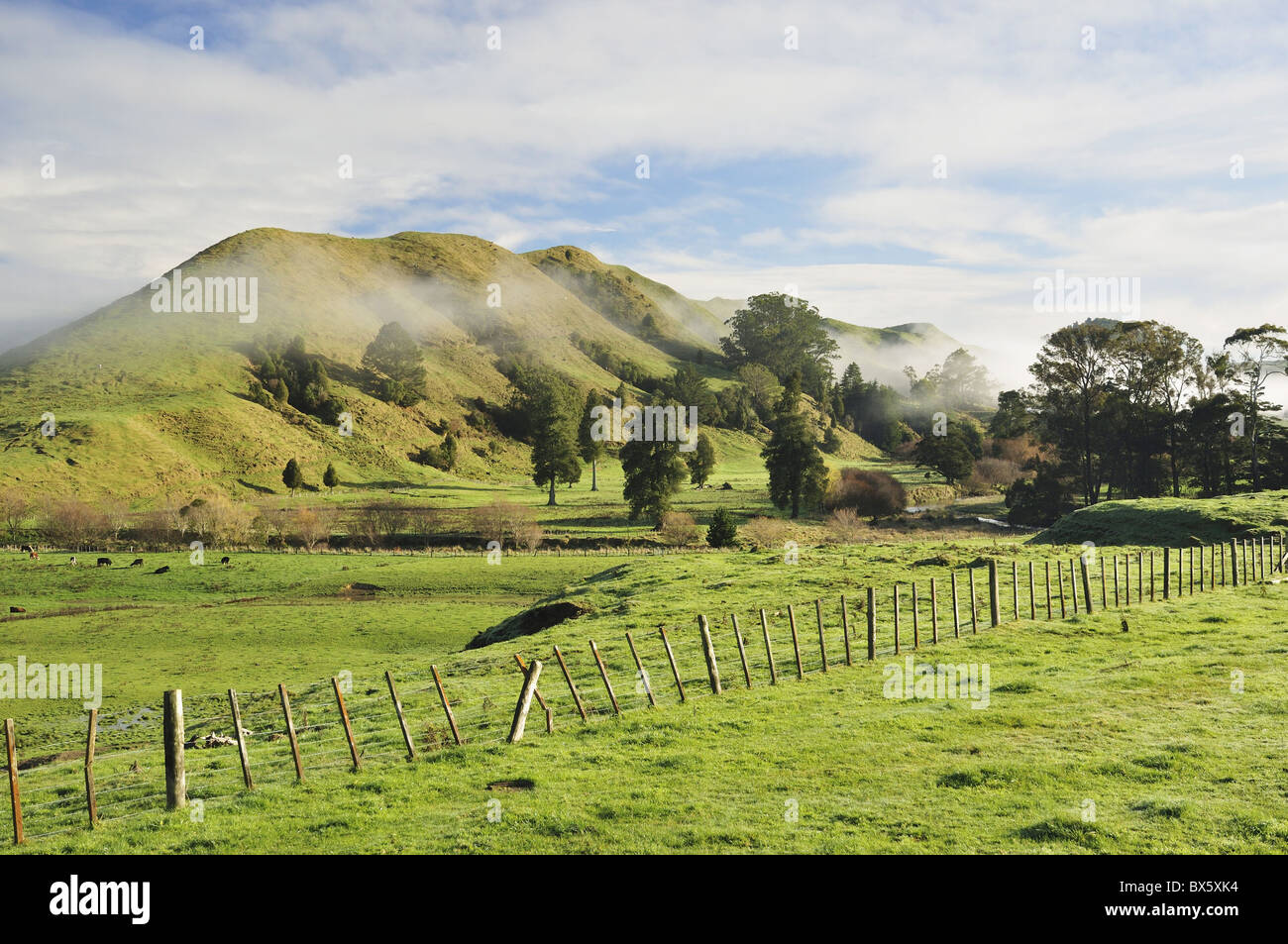 Ackerland in der Nähe von Matawai, Gisborne, North Island, Neuseeland, Pazifik Stockfoto
