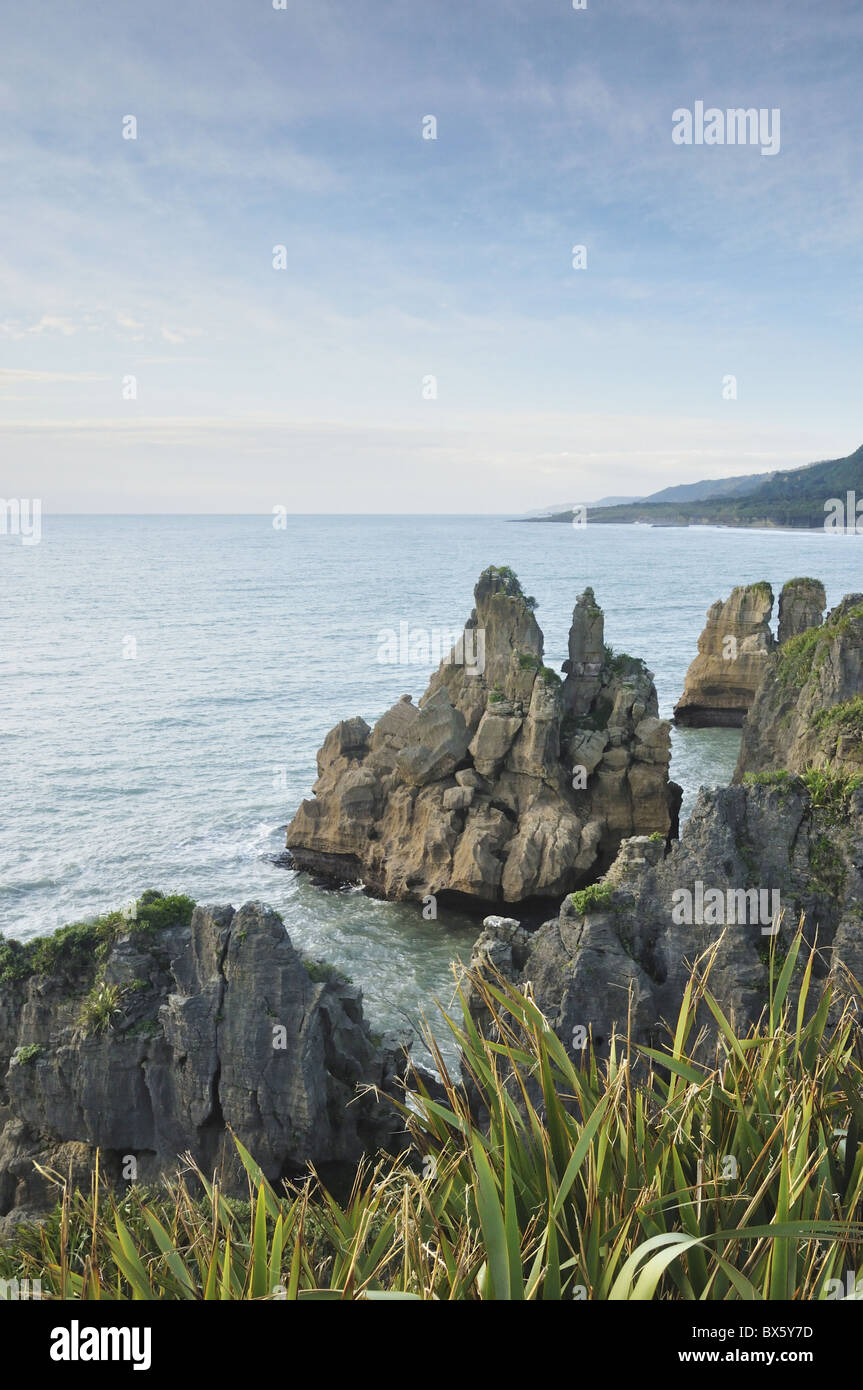 Pancake Rocks, Paparoa Nationalpark, Punakaiki, West Coast, Südinsel, Neuseeland, Pazifik Stockfoto