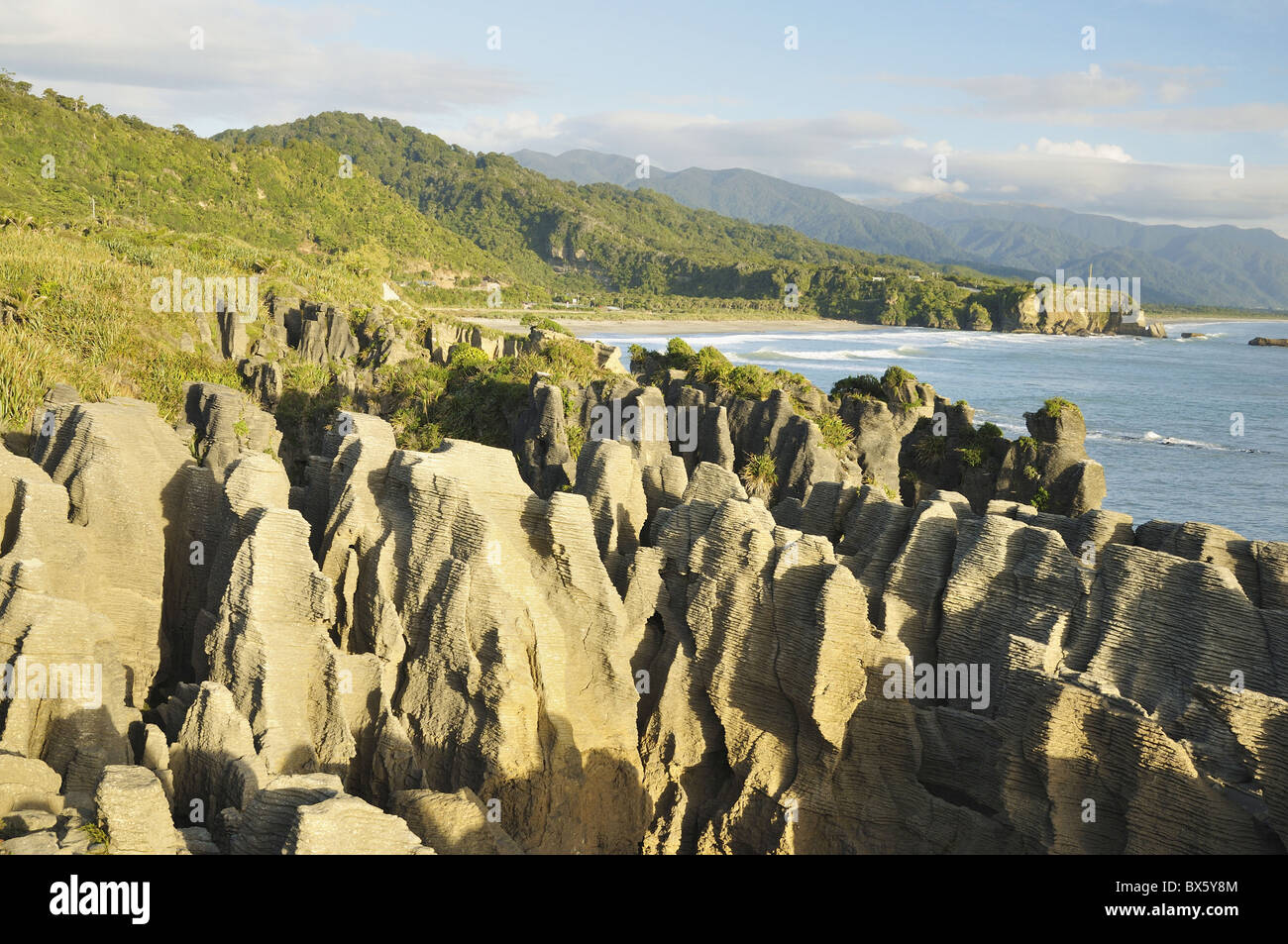 Pancake Rocks, Paparoa Nationalpark, Punakaiki, West Coast, Südinsel, Neuseeland, Pazifik Stockfoto
