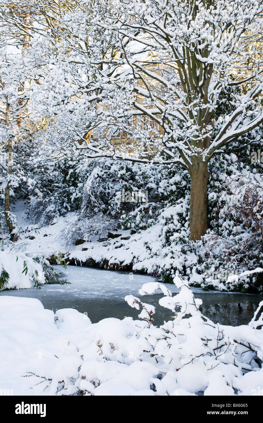 Teich im Tal Gärten Harrogate North Yorkshire England eingefroren Stockfoto