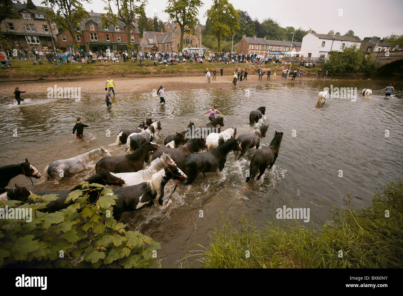 Gypsy Reisende waschen Pferde im Fluss Eden während der Appleby Horse Fair, Appleby in Westmorland, Cumbria, UK Stockfoto