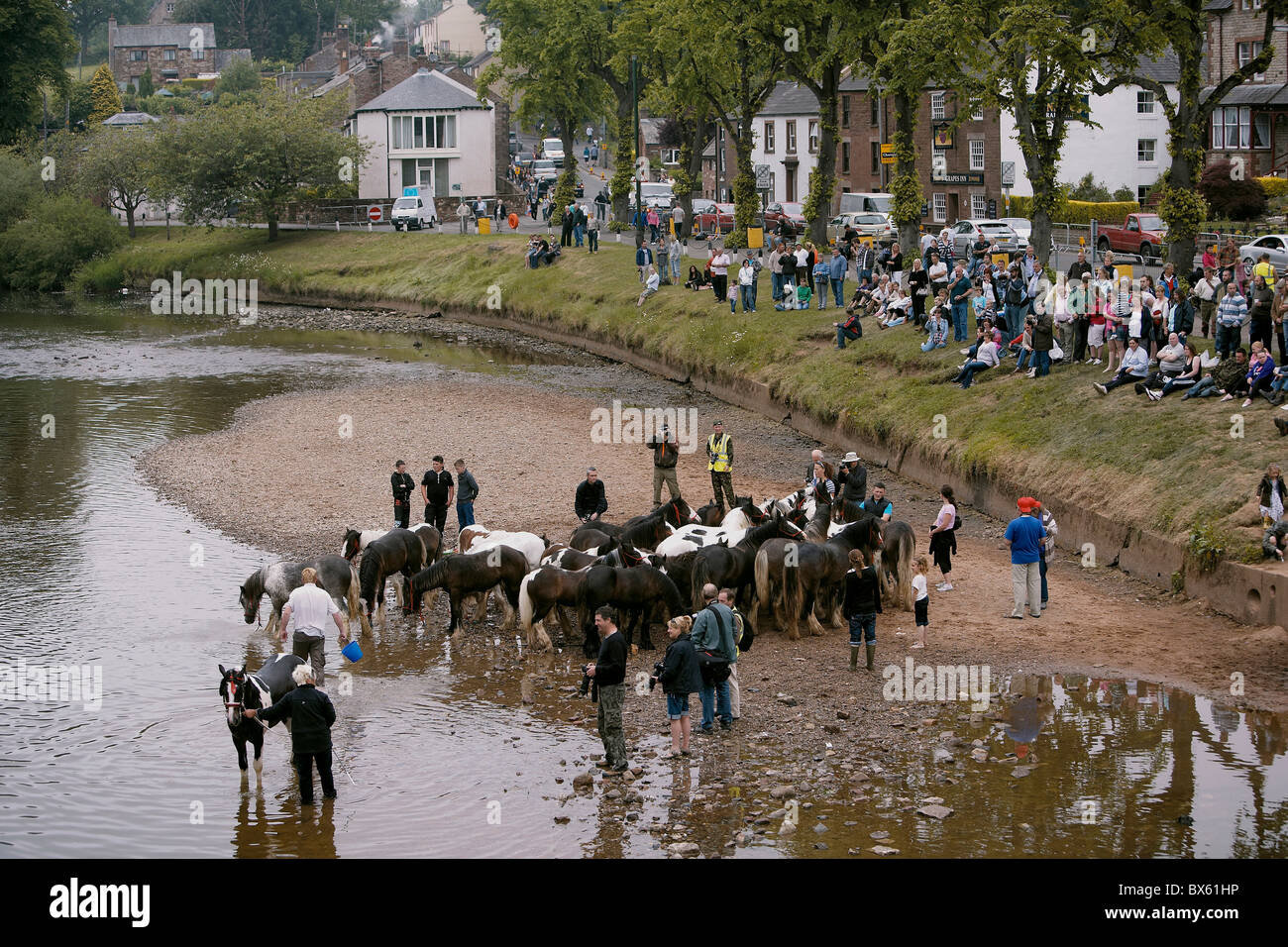 Gypsy Reisende waschen Pferde im Fluss Eden während der Appleby Horse Fair, Appleby in Westmorland, Cumbria, UK Stockfoto