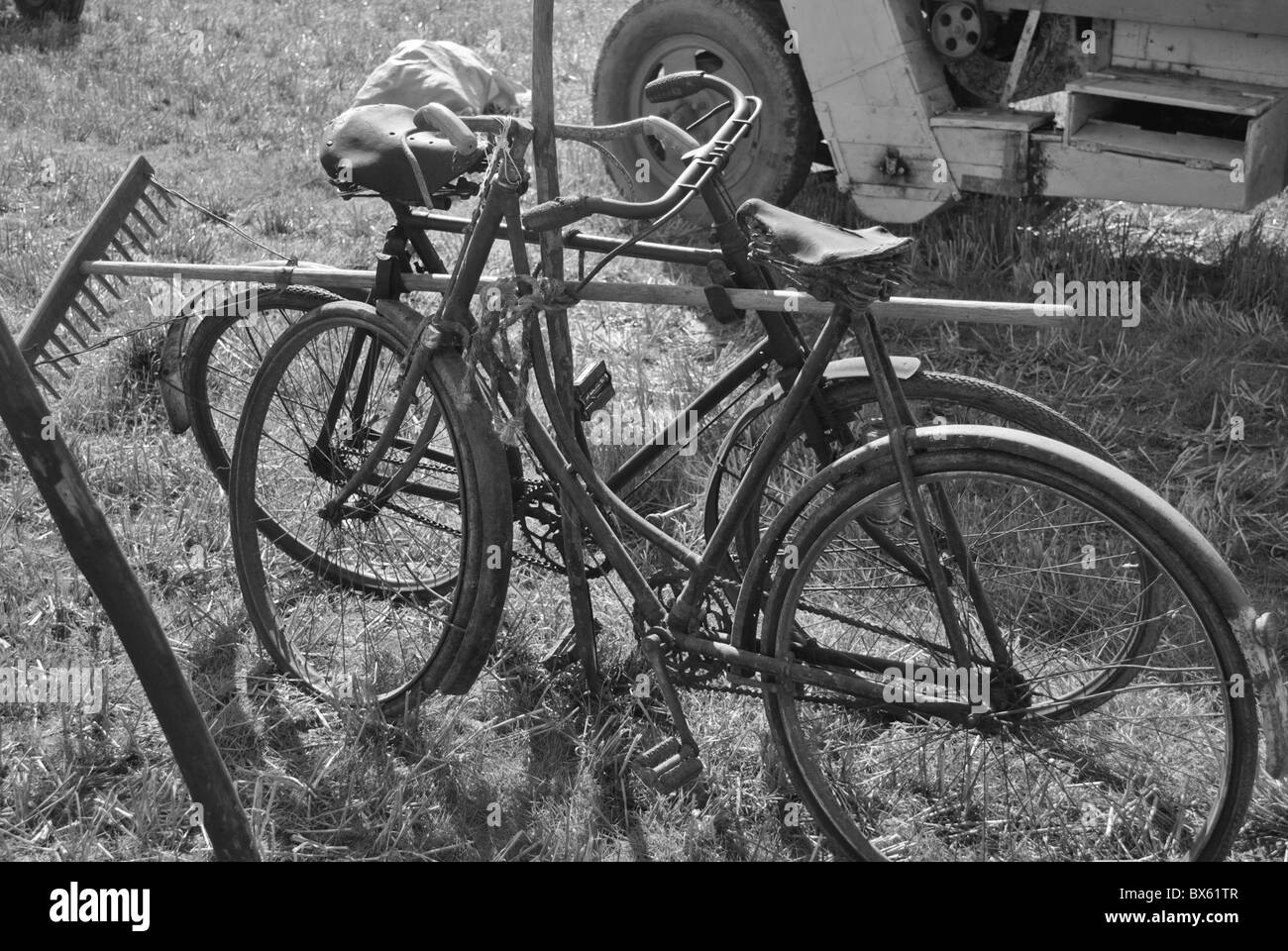 Oldtimer bei einer Landwirtschaftsausstellung in Wicklow Irland Stockfoto