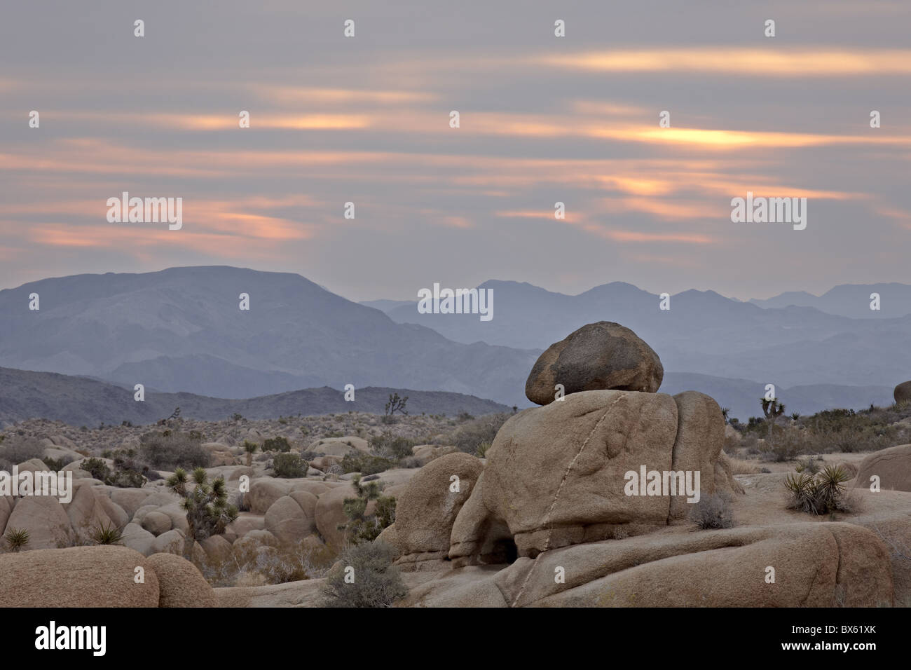 Trübe Sonnenaufgang, Joshua Tree Nationalpark, Kalifornien, Vereinigte Staaten von Amerika, Nordamerika Stockfoto