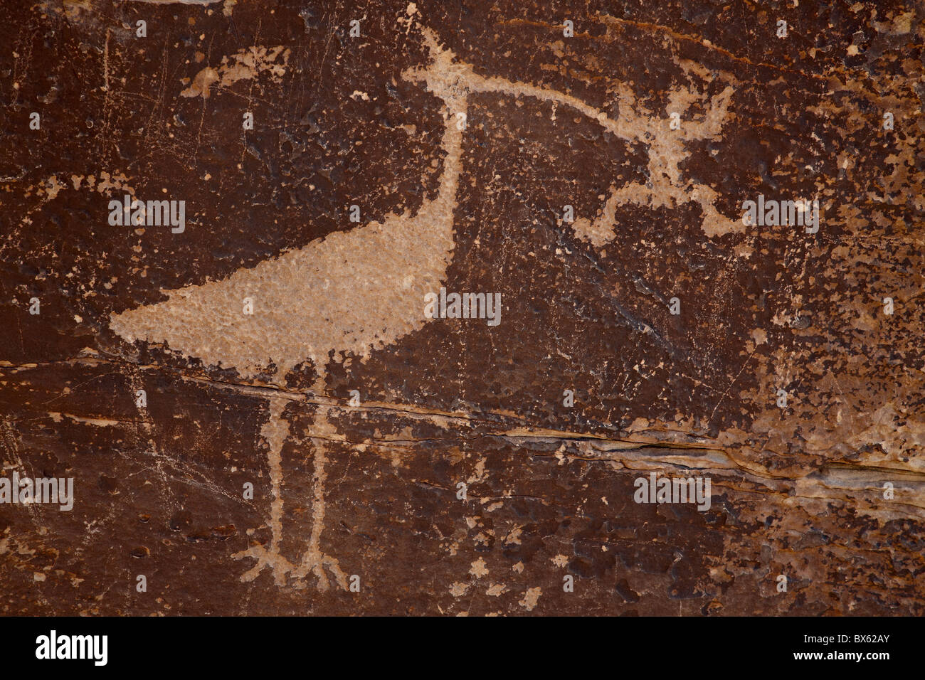 Vogel Petroglyph, Petrified Forest National Park, Arizona, Vereinigte Staaten von Amerika, Nordamerika Stockfoto