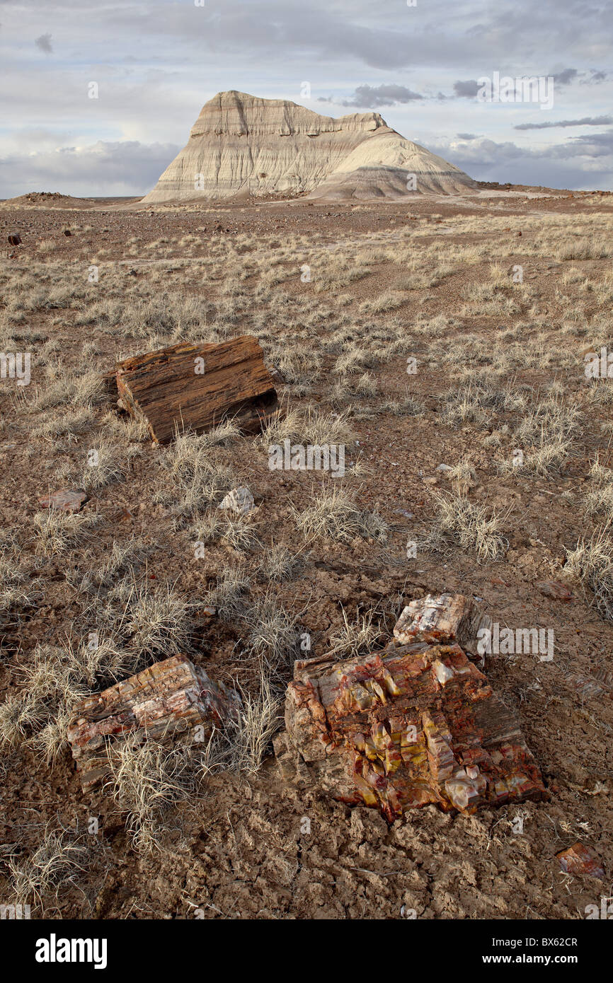 Versteinertes Holz und einem erodierten Hügel, Petrified Forest National Park, Arizona, Vereinigte Staaten von Amerika, Nordamerika Stockfoto