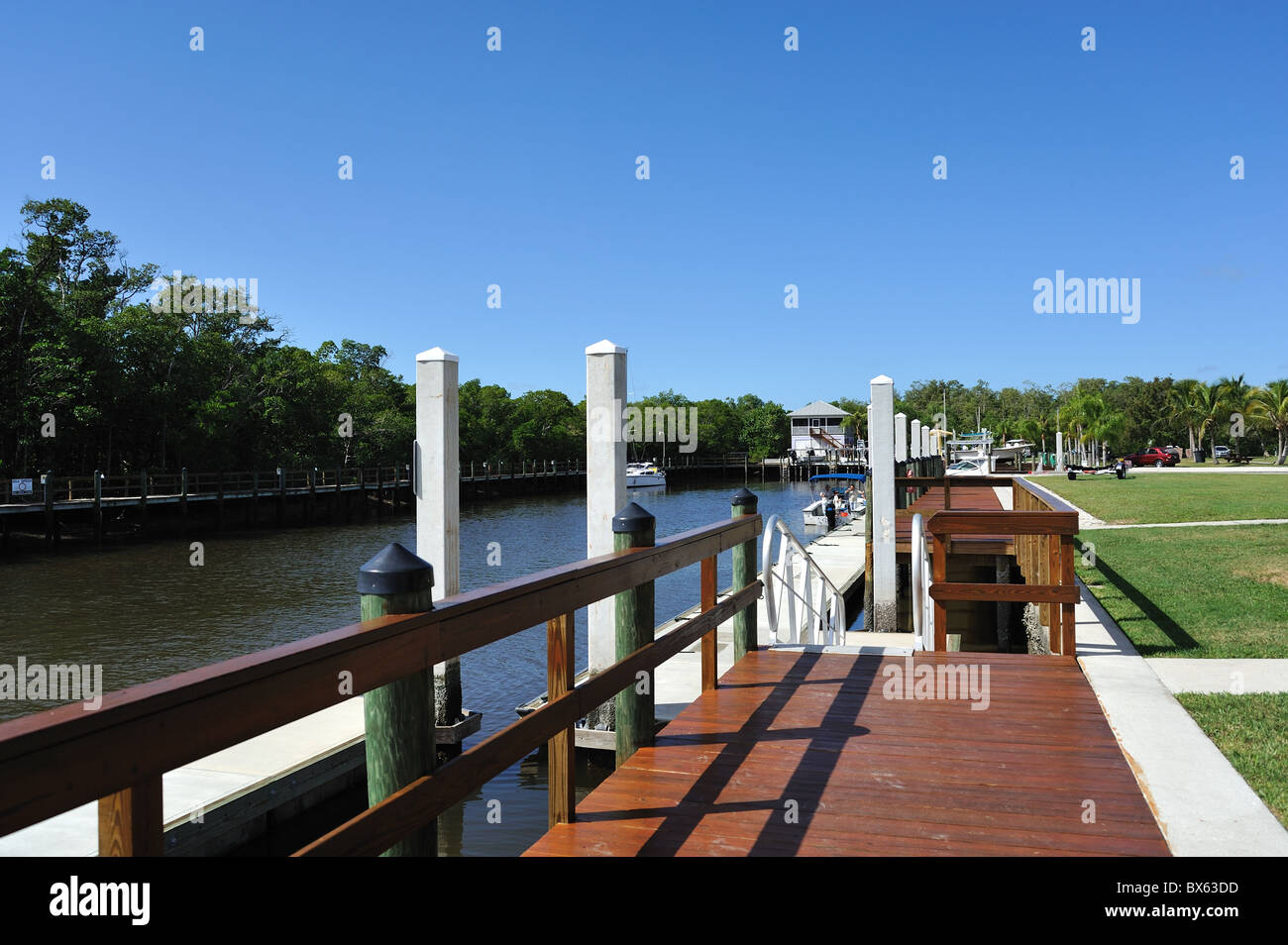 Marco River Marina Marco Island, Florida Stockfoto