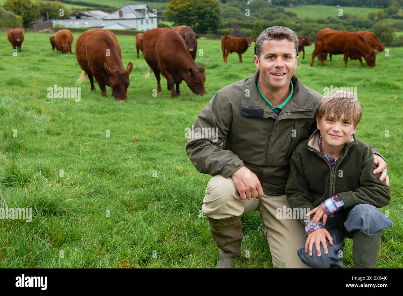 Vater und Sohn auf Bauernhof mit Kühen Stockfoto