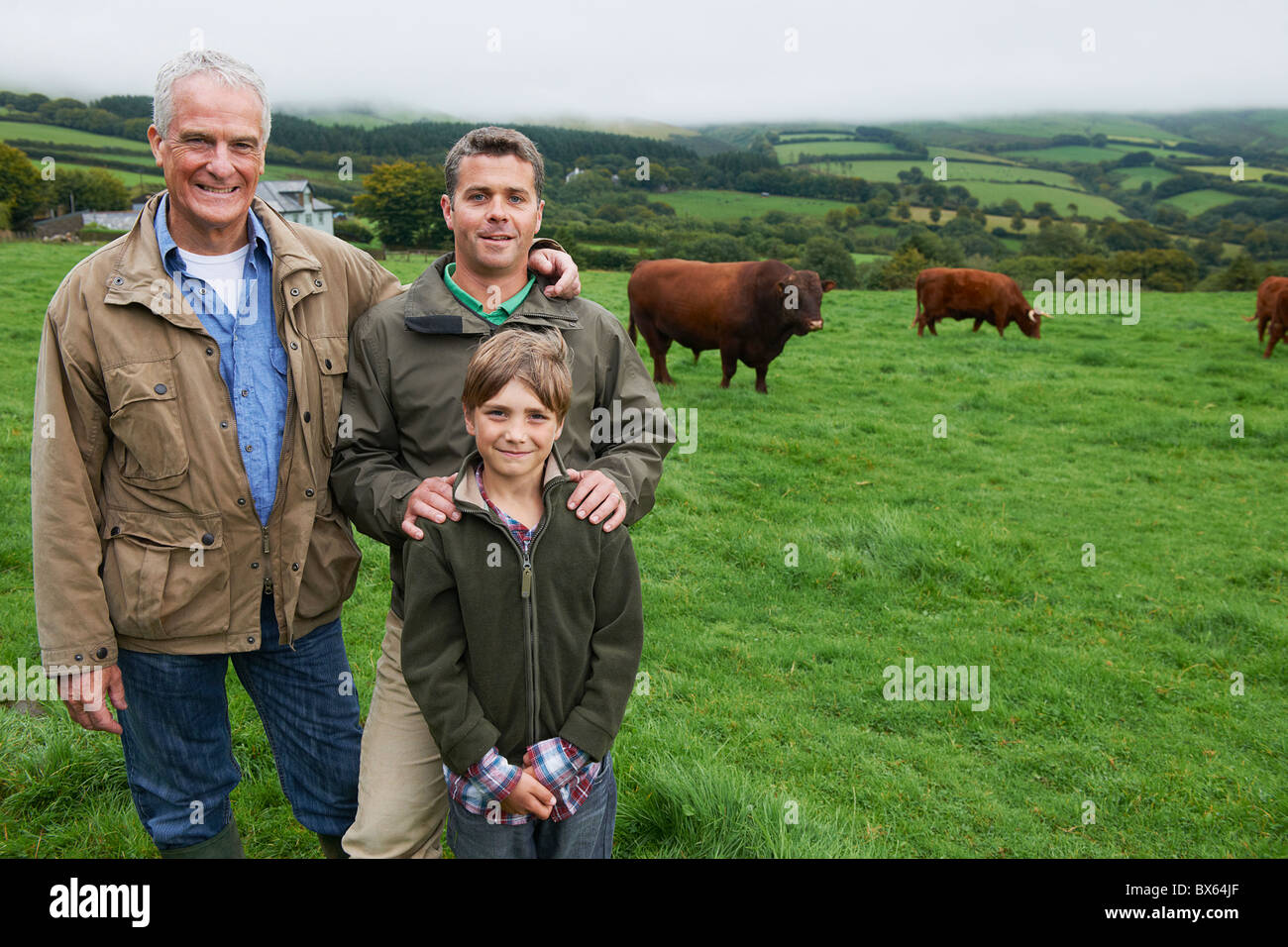 Vater, Sohn und Großvater mit Kühen Stockfoto