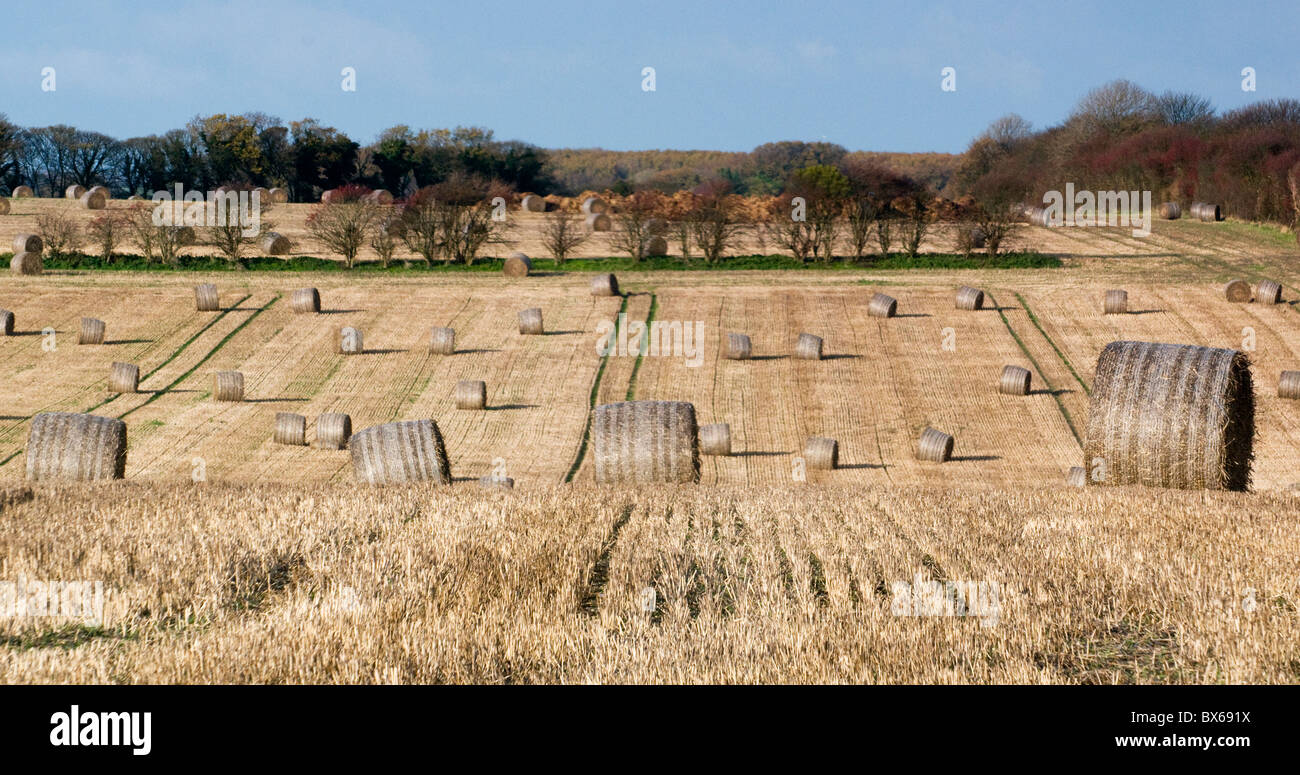 Cuckmere Haven Sussex Stockfoto