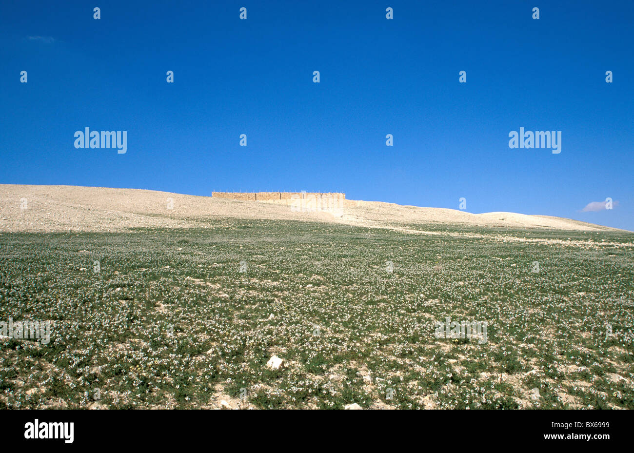 Die israelitischen Festung in Tel Arad in der Negev-Wüste, Israel, Nahost Stockfoto