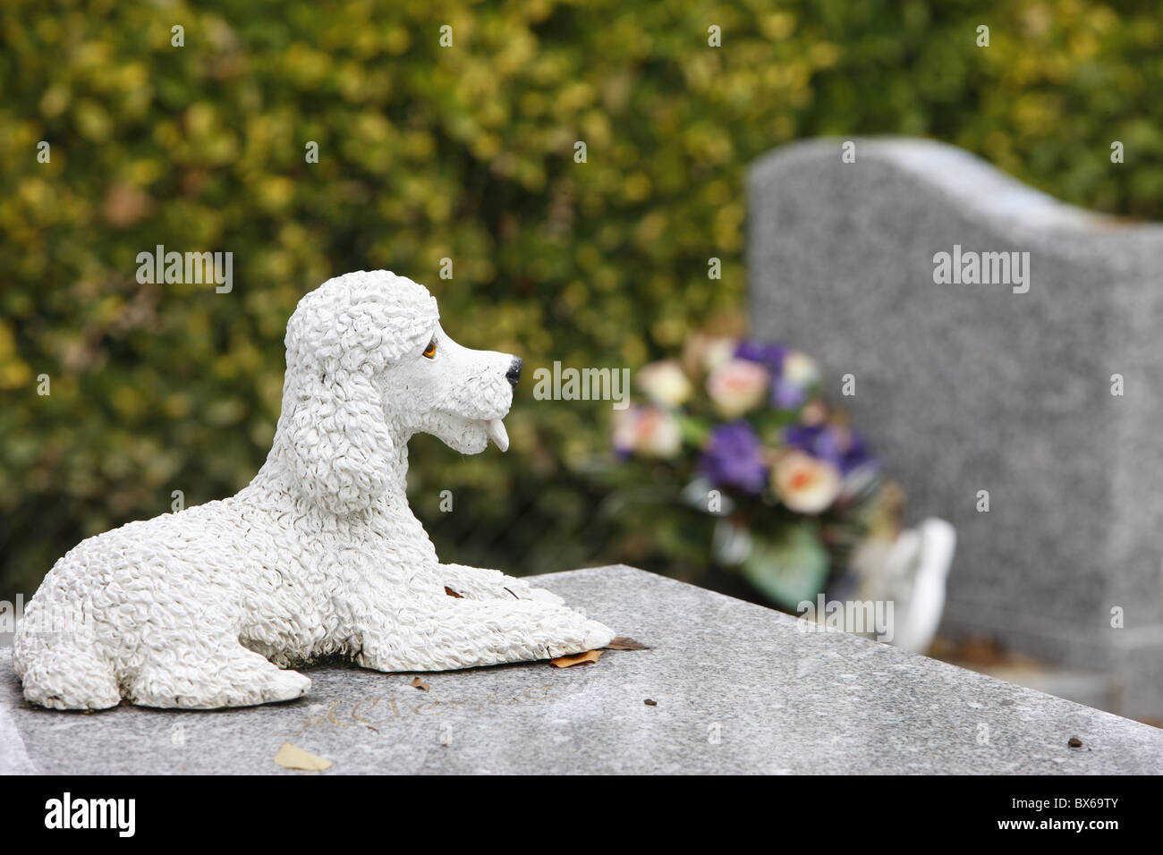 Asnieres Tierfriedhof, Asnieres, Hauts de Seine, Frankreich, Europa Stockfoto