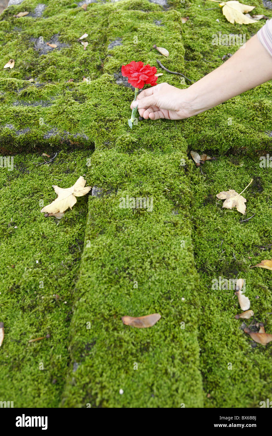 All-Seelen-Tag in einem Friedhof, Paris, Frankreich, Europa Stockfoto