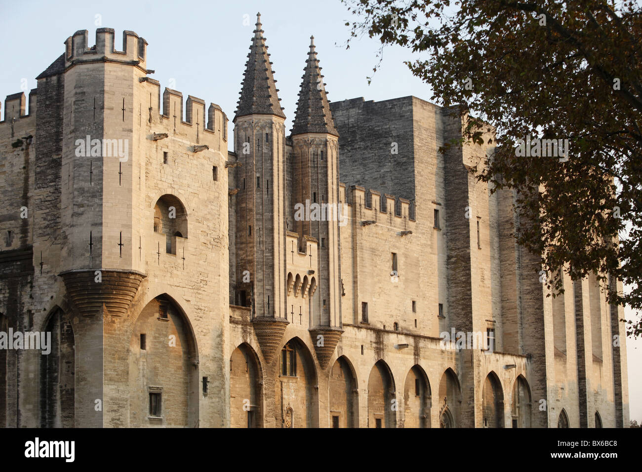 Palais des Papes, Avignon, UNESCO World Heritage Site, Vaucluse, Frankreich, Europa Stockfoto