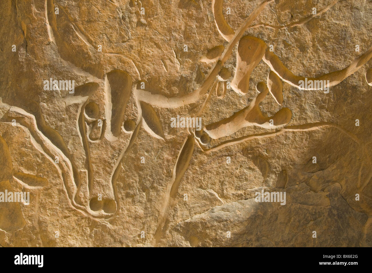 Berühmte Rock Inschrift eine weinende Kuh (La Vache Qui Pleure), in der Nähe von Djanet, Algerien, Nordafrika, Afrika Stockfoto