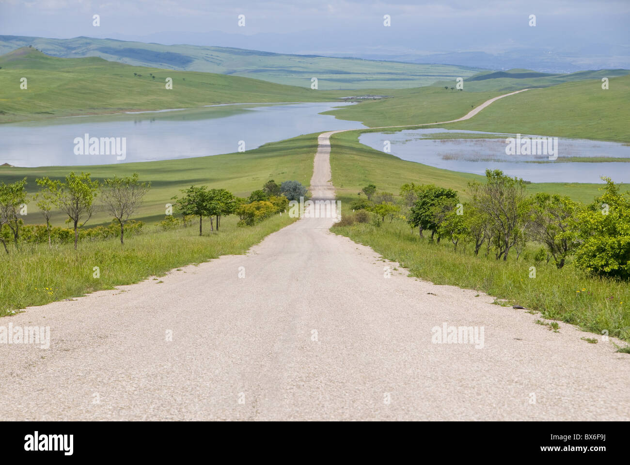 Gerade lange Straße in Khaketi, Georgien, Kaukasus, Zentralasien, Asien Stockfoto