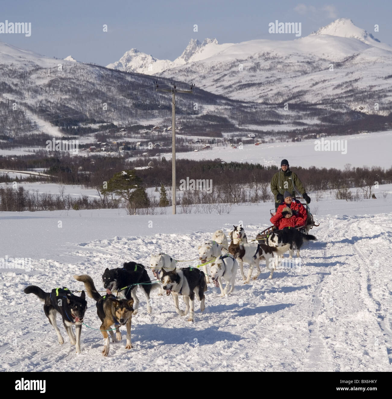 Hundeschlitten mit Huskys, Tromso Wildnis Zentrum, Norwegen, Skandinavien, Europa Stockfoto