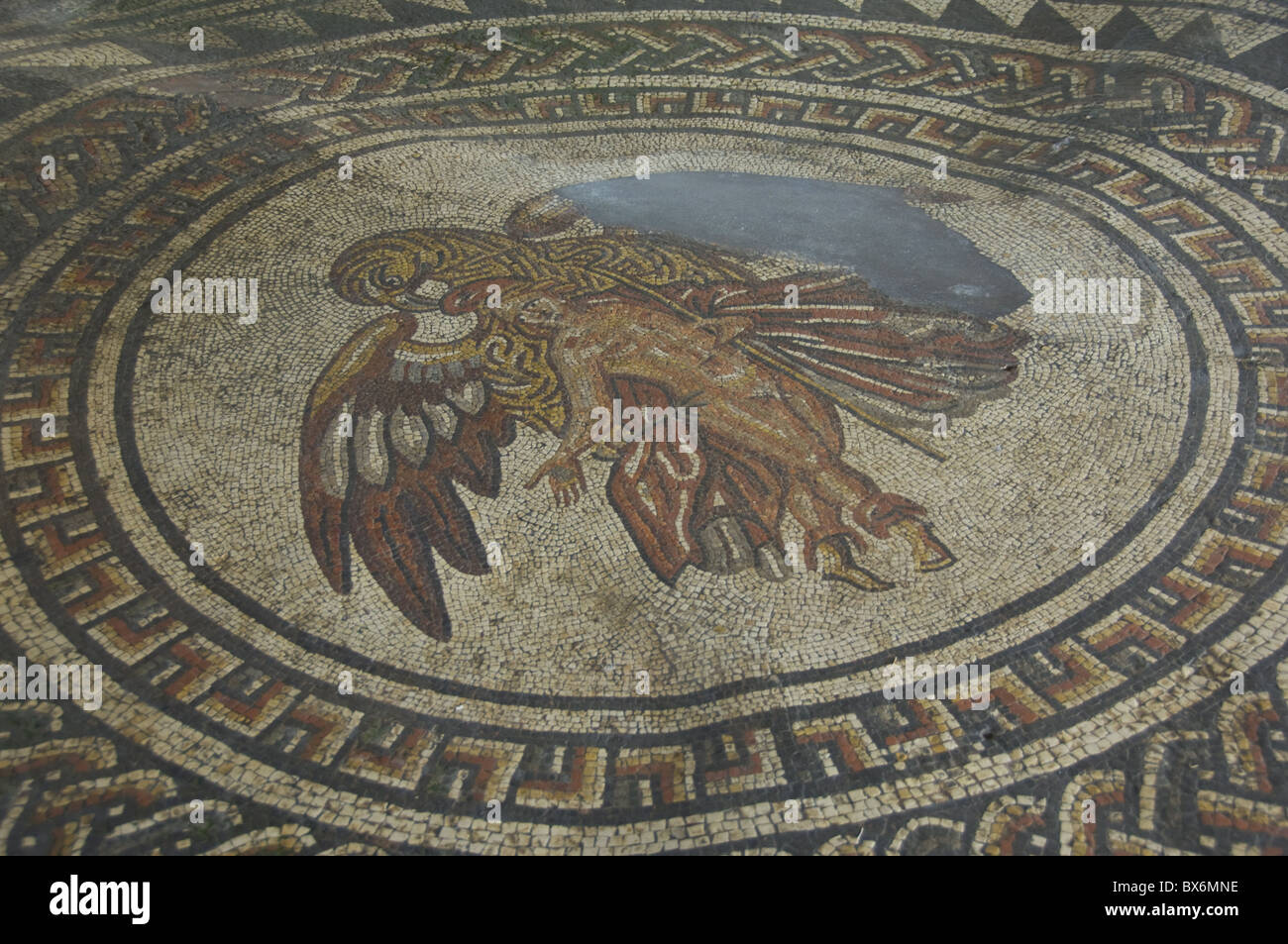 Mosaik Boden Figur mit Raubvogel, 350 AD Römervilla an Bignor, West Sussex, England, Vereinigtes Königreich, Europa Stockfoto