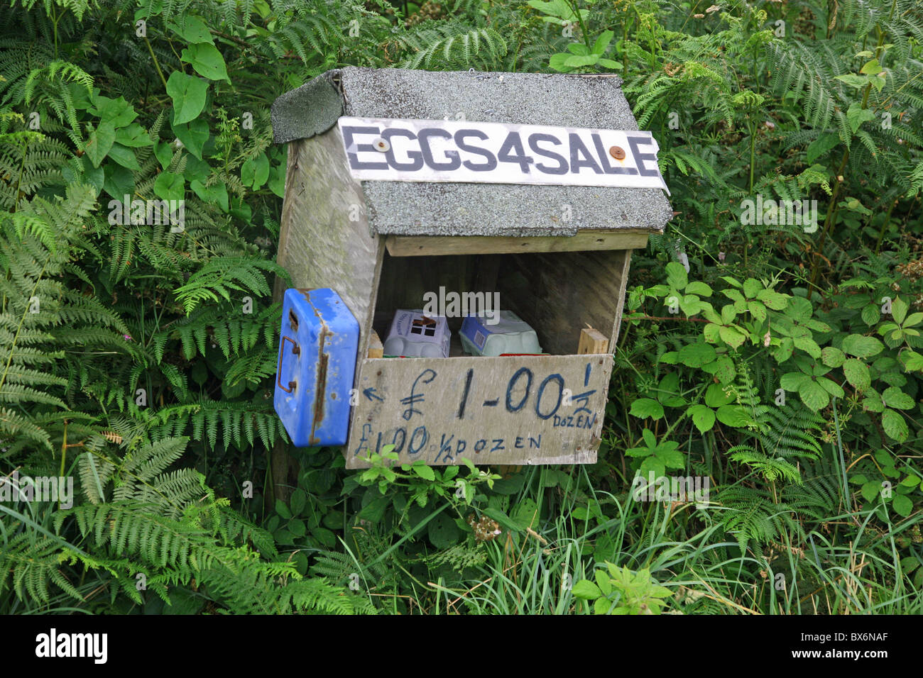 Eine Box mit Eiern für Verkauf und Ehrlichkeit Box neben einem Fußweg, Cornwall, England, UK Stockfoto