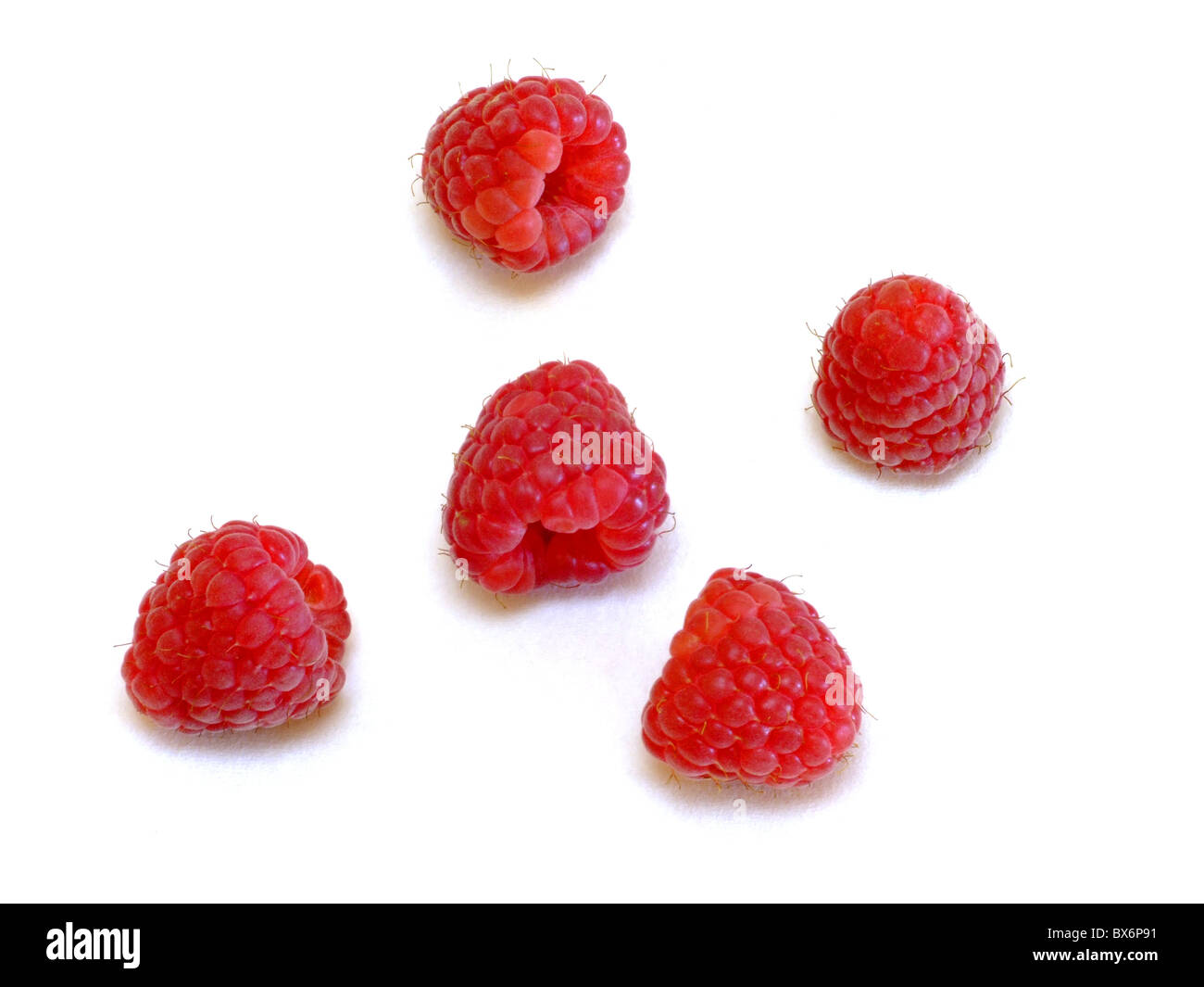 Himbeeren / Himbeeren (Rubus Idaeus) Stockfoto