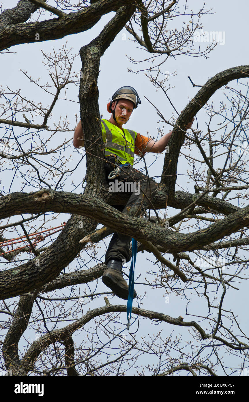 Mönchs Crag, Derwent Water, Lake District, Cumbria, England, UK Stockfoto