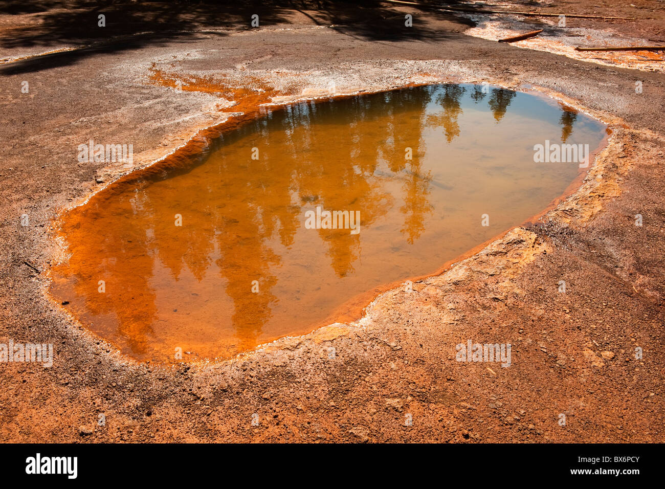 Ocker gefärbt Mineral-Pool an die Farbtöpfe, Kootenay National Park, Britisch-Kolumbien, Kanada. Stockfoto