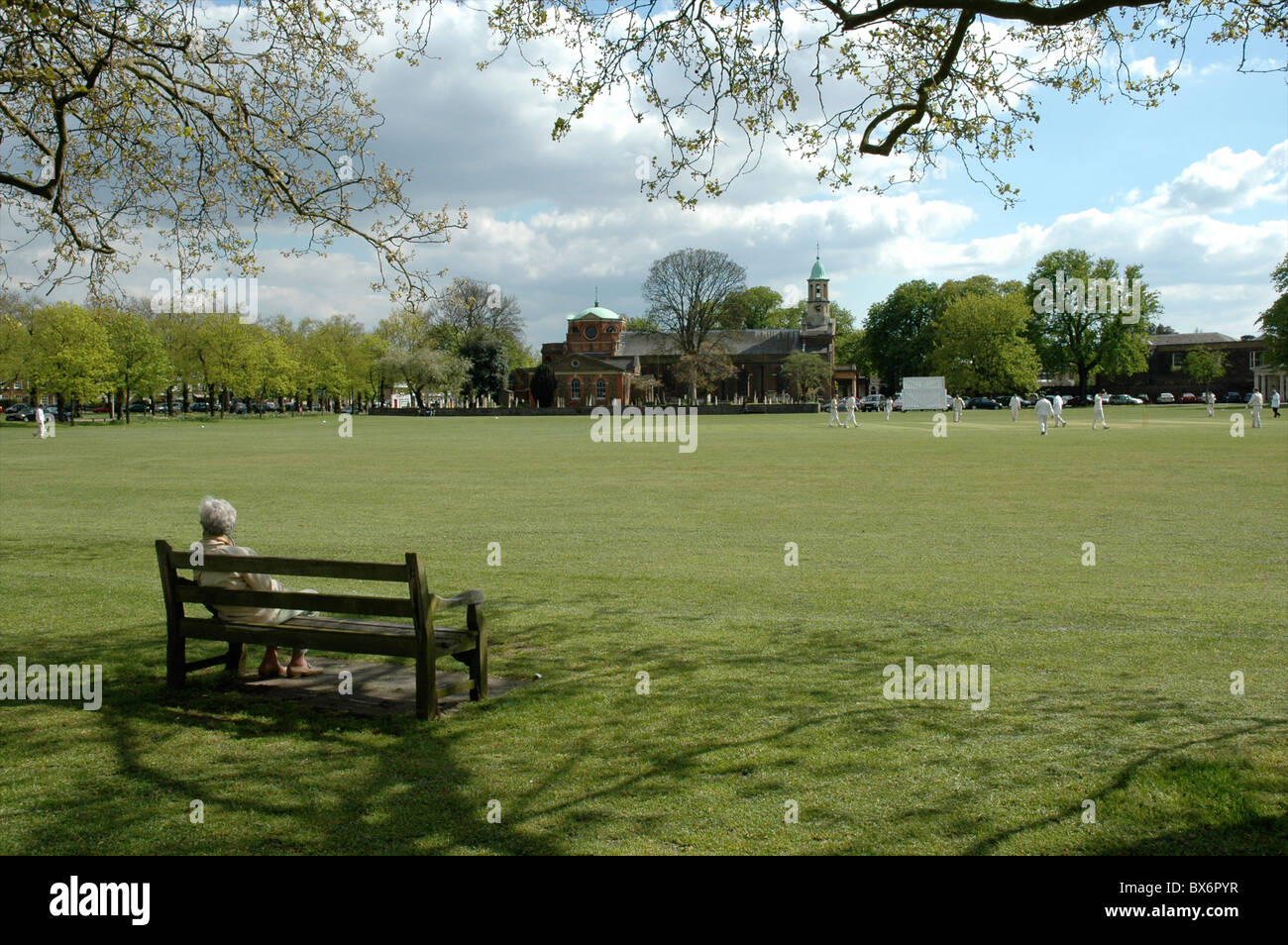 Lady beobachten Cricket Match, Kew, West London, England, UK Stockfoto
