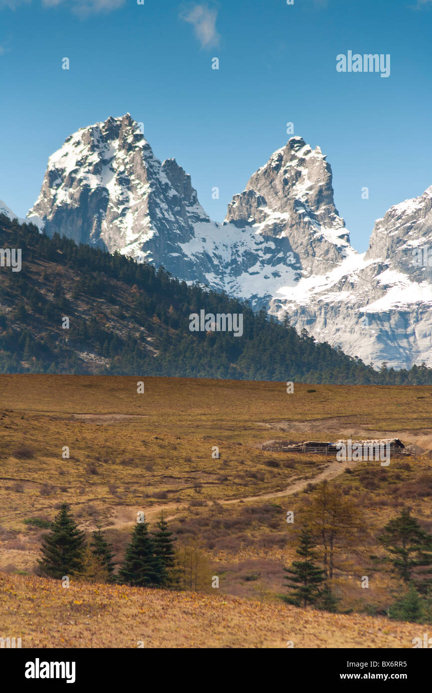 Yulong Xue Shan Berg, auch bekannt als Jade Dragon Snow Mountain, vom Yak Wiese Sicht, Lijiang, Provinz Yunnan, China Stockfoto